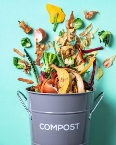 Sustainability Tips - Beginner's Guide to Composting